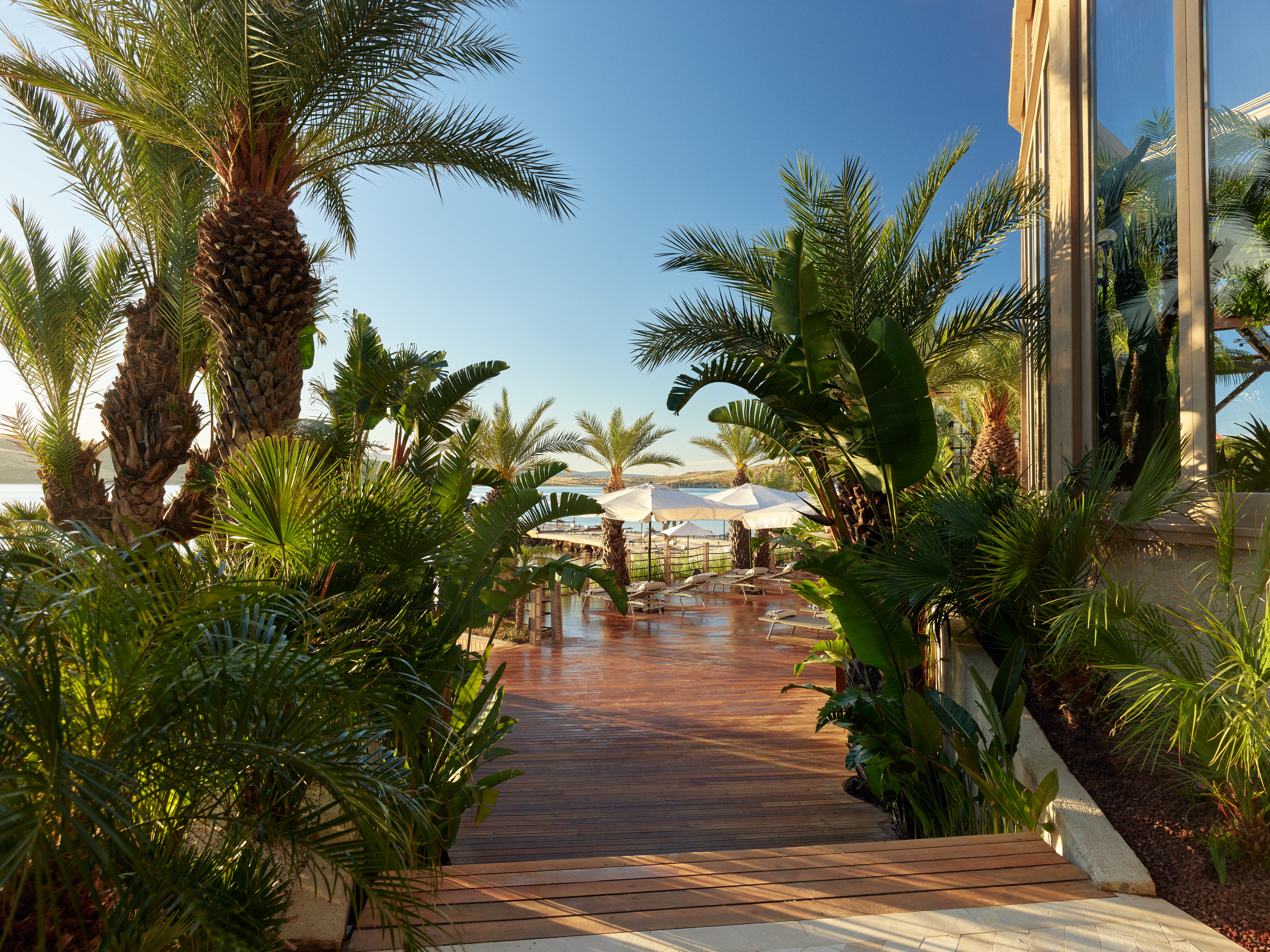 A boardwalk through palm gardens towards the beach at Biblos Resort Alaçatı